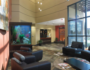 Sophisticated and contemporary, the reception and waiting area has spa-like impact. Equipped with Dentrix and eServices Practice Management Software.